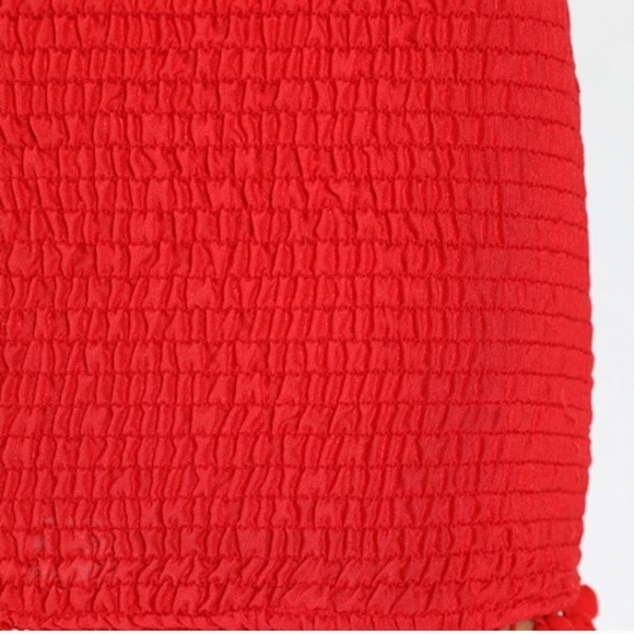 Wild Honey Smocked Tubetop Dress with Poms - Picture 3 of 3